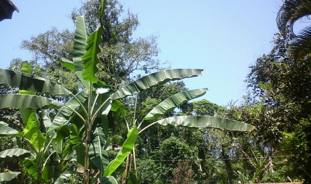 Chales Bangalos Itamambuca Ubatuba Ngoại thất bức ảnh